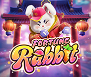 Fortune Rabbit